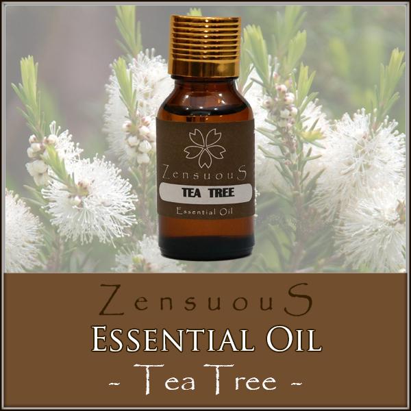 ZENSUOUS Essential Oil - Tea Tree (end 2/1/2020 12:57 PM)