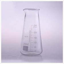250ml Conical Glass Beaker with spout