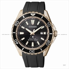 CITIZEN BN0193-17E Men's Promaster Eco-Drive Diver Rubber Strap Black
