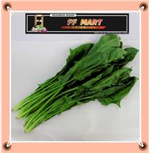 Spinach price, harga in Malaysia - * bayam