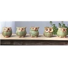 Owl Pot ,For Succulent Plant, Fittonia, Air Plant and Others