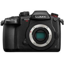 Panasonic Lumix DC-GH5S Camera Body (Import)
