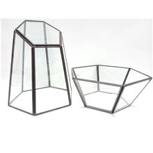 Terrarium, Succulent Glass Container 6018 多肉植物玻璃盆