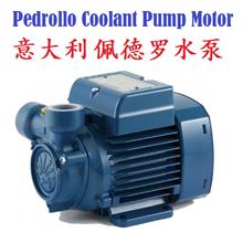Itali Pedrollo Coolant Pump Motor 意大利佩德罗水泵