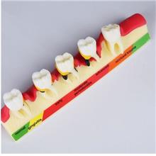 Dental lab equipment Dentist oral hygiene