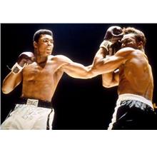 Mohammad Ali EVERLAST Boxing Muay Thai Gym Punching Bag Glove Brown