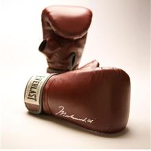 Mohammad Ali EVERLAST Boxing Muay Thai Gym Punching Bag Beg Glove