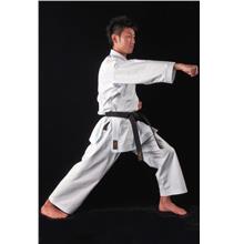 Maddockdo Silat Karate Aikido Judo Kendo Martial Arts Japan Uniform