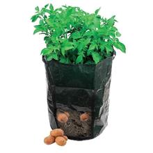 Reusable Potato Grow Bag - Dark Green