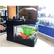 USB multifunction ecological aquarium fish tank with pump