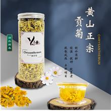 黄山正宗·黄贡菊 / Chrysanthemum/ 45G