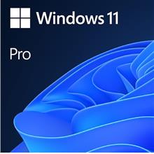 Microsoft Windows 11 Pro 64-bit OEM (1 License)