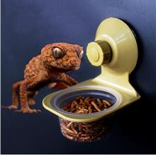 Suction Cup Reptile Water Food Feeder Wall Hanging Feeding Dish Bowl